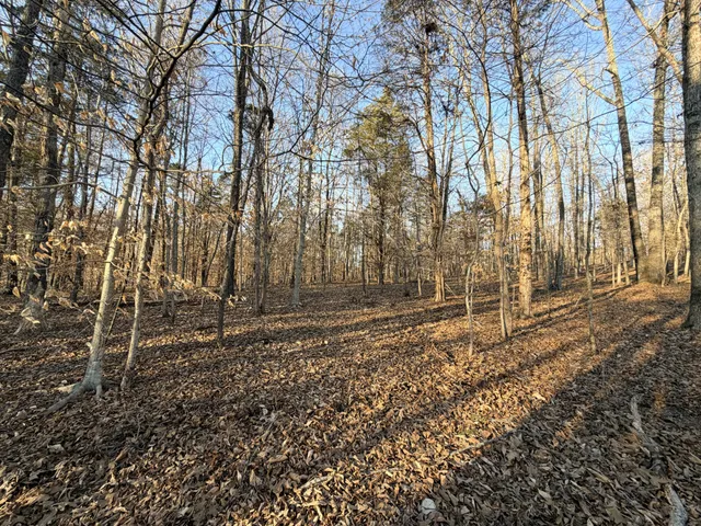$68,500 | 12 John Ross Hollow Road, Erin, TN 37061