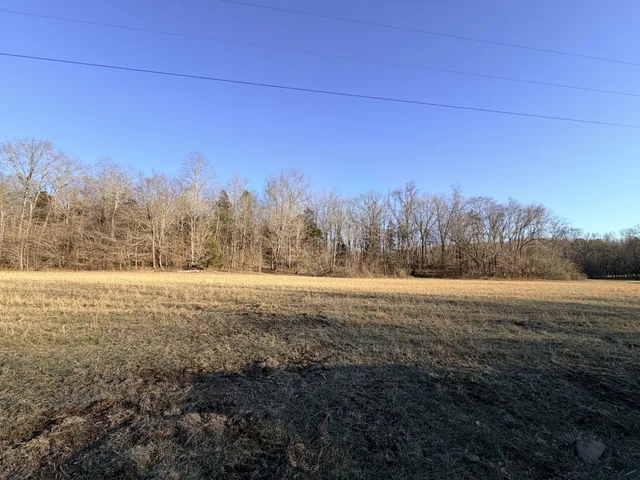 a view of dirt field with trees in background