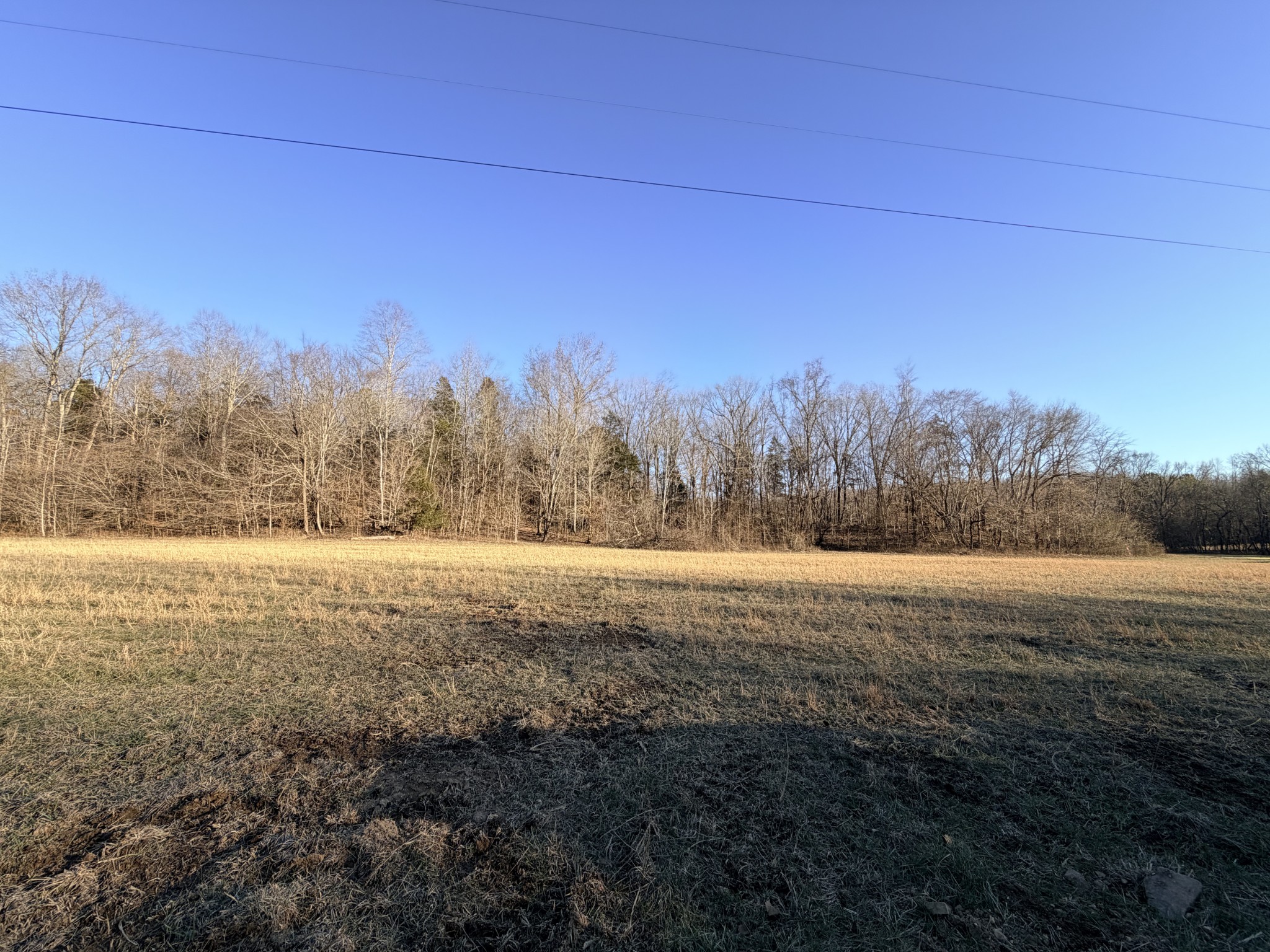 12 John Ross Hollow Road Erin, TN 37061 - Photo 7 of 37 a view of dirt field with trees in background