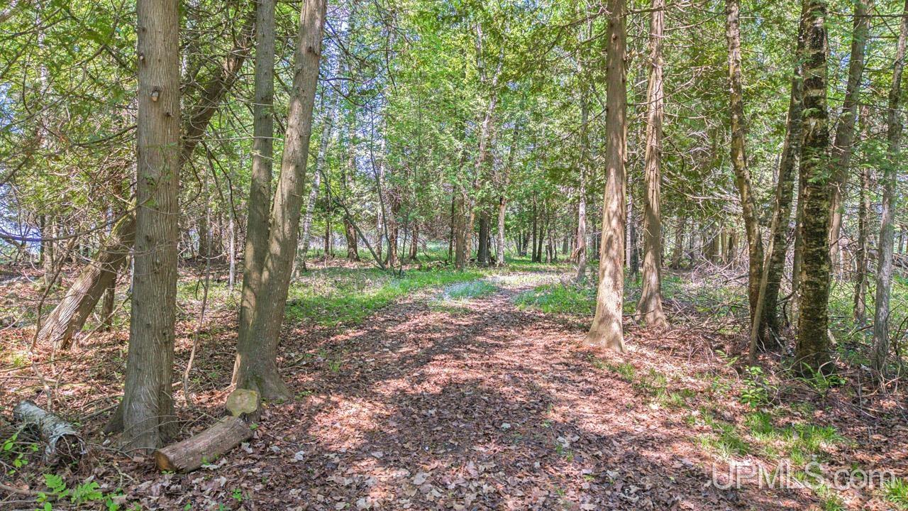 5217 County Road 513 Road Rapid River, MI 49878 - Photo 9 of 14