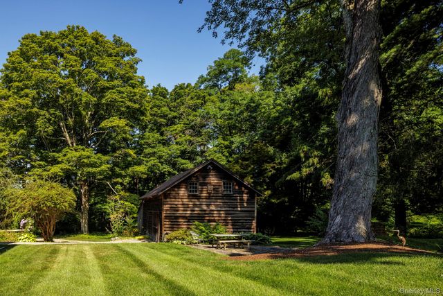 a view of a trees in a yard