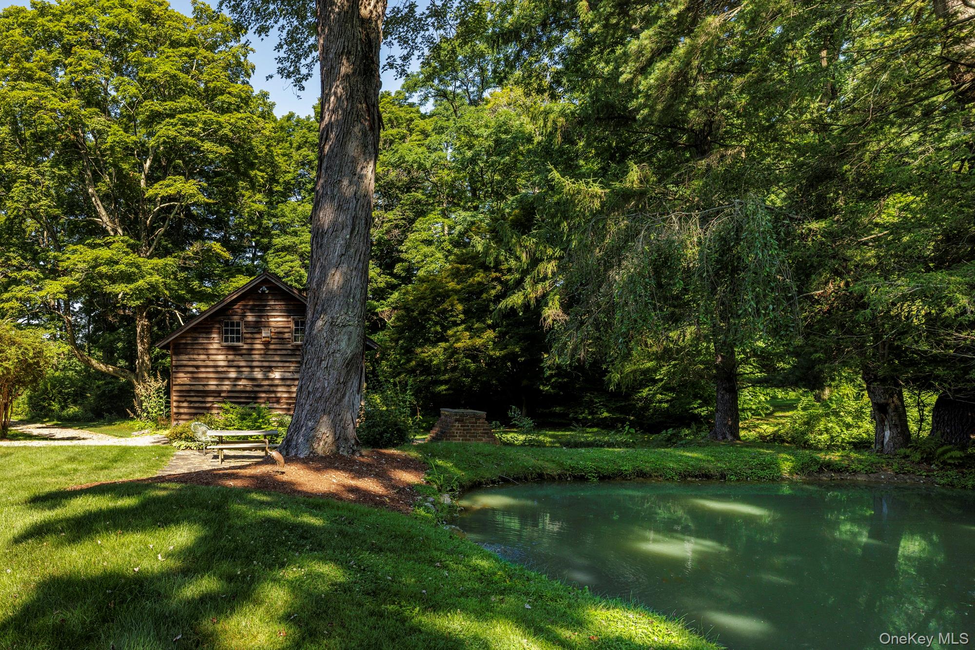 425 Camby Road Millbrook, NY 12545 - Photo 31 of 39 a view of a trees in a yard