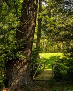 a view of a house with a tree