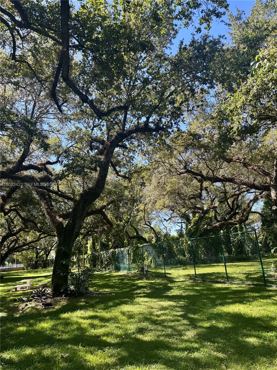 605 Ives Dairy Road, Unit 3067 Miami, FL 33179 - Photo 25 of 28 a big yard with trees
