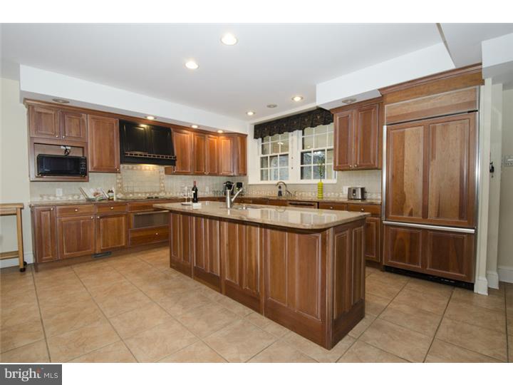 772 Darby Paoli Road Berwyn, PA 19312 - Photo 10 of 25 Kitchen