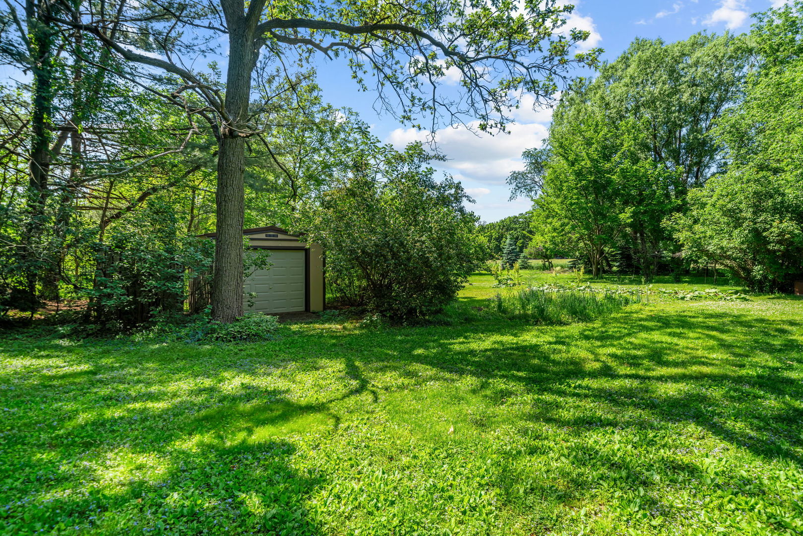 5748 South Skare Road Rochelle, IL 61068 - Photo 37 of 45 a view of a backyard with large trees