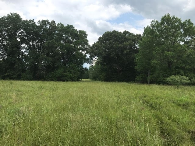125 Liberty Road Moscow, TN 38057 - Photo 12 of 19 Gallery Image 12