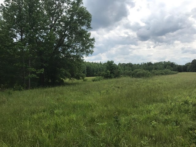 125 Liberty Road Moscow, TN 38057 - Photo 13 of 19 Gallery Image 13