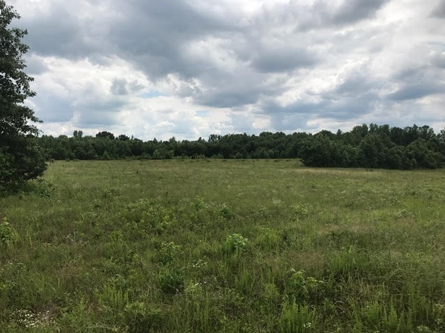 125 Liberty Road Moscow, TN 38057 - Photo 17 of 19 Gallery Image 17