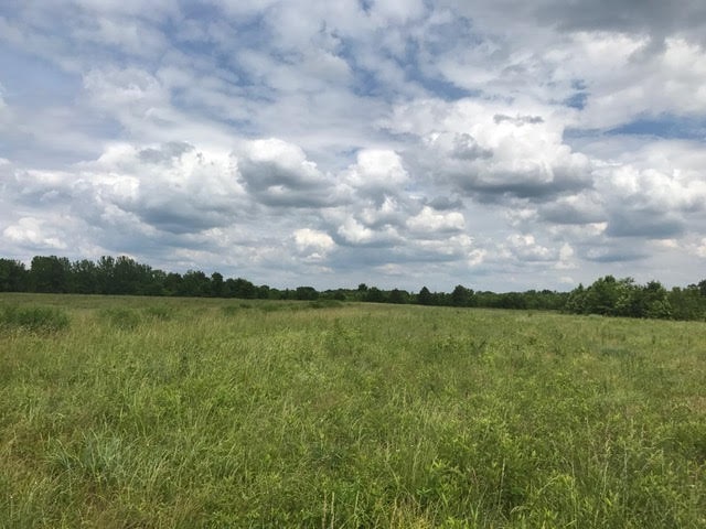 125 Liberty Road Moscow, TN 38057 - Photo 18 of 19 Gallery Image 18