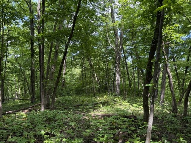 35537 Log House Lane Prairie du Chien, WI 53821 - Photo 27 of 36