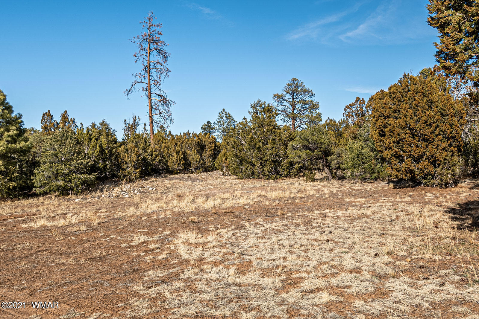 3137 Highway 277 Overgaard, AZ 85933 - Photo 27 of 57