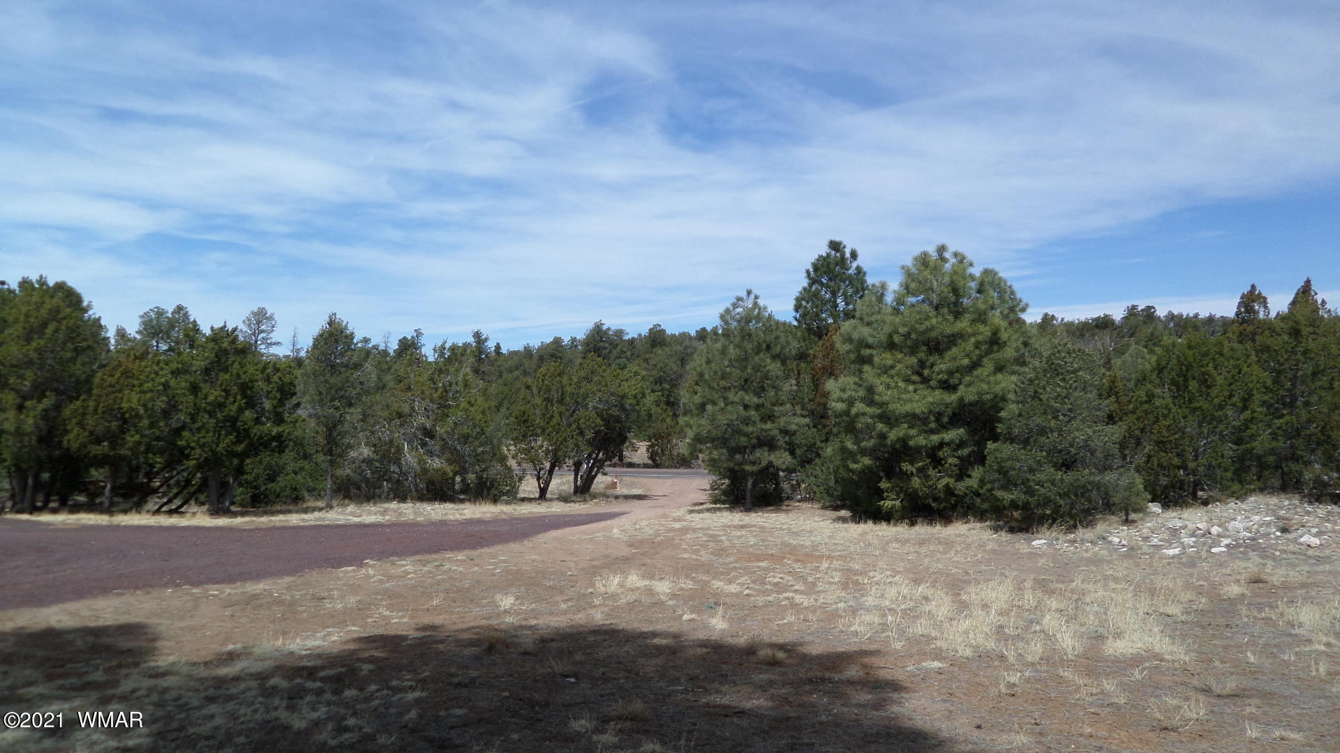 3137 Highway 277 Overgaard, AZ 85933 - Photo 44 of 57