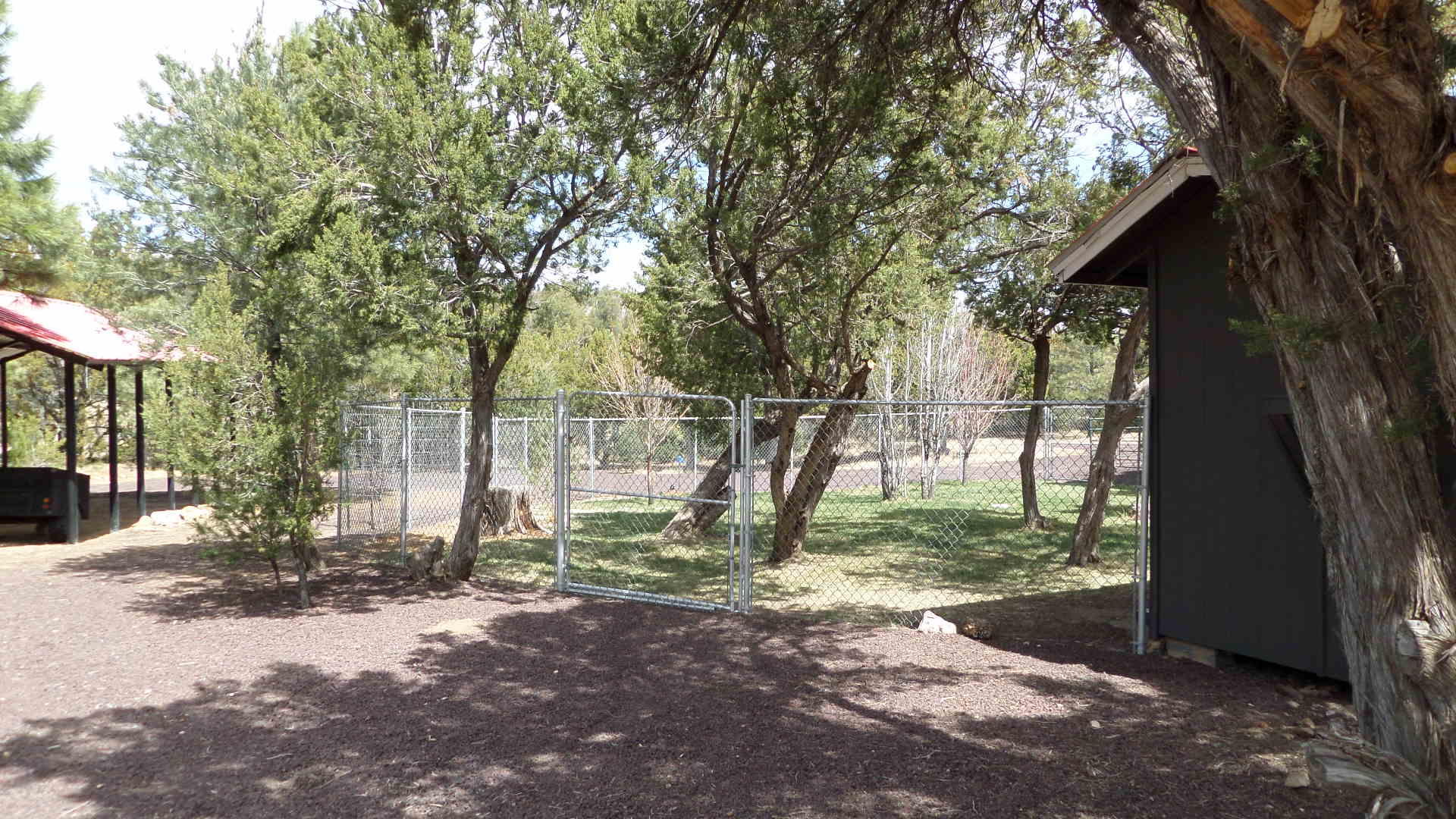 3137 Highway 277 Overgaard, AZ 85933 - Photo 49 of 57