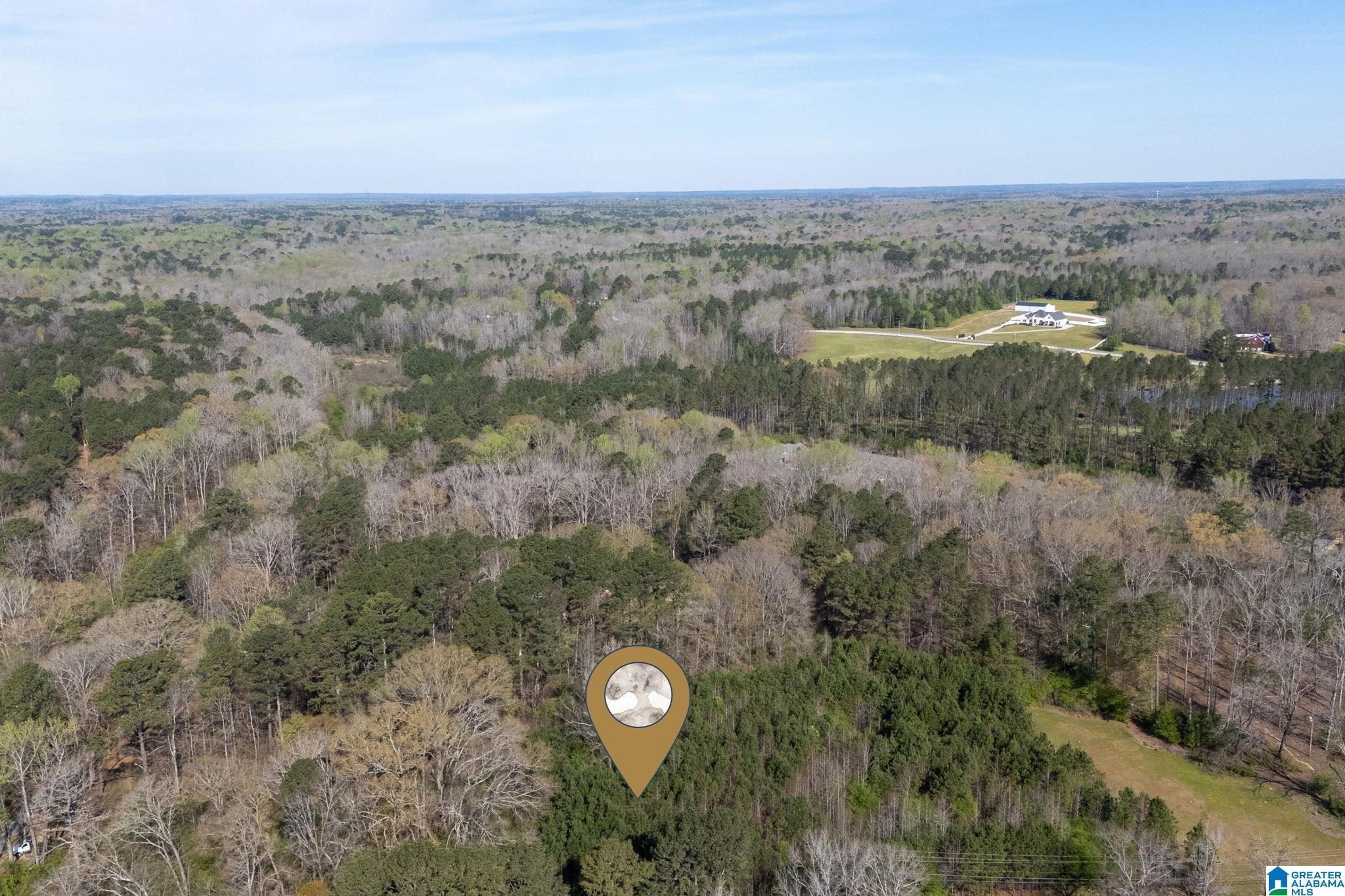 358 Blackwell Dairy Road Jasper, AL 35501 - Photo 11 of 22