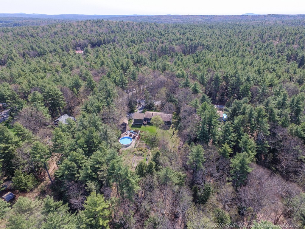 65 Colony Road Phillipston, MA 01331 - Photo 25 of 26 a view of a lush green forest with trees and some houses