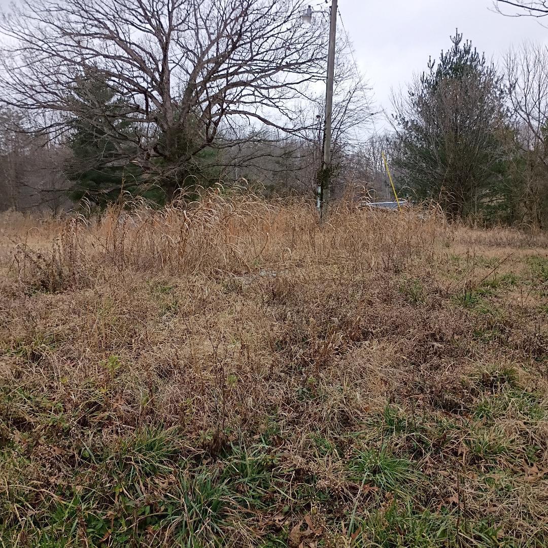 497 Old Bethel Road Monticello, KY 42633 - Photo 14 of 21 thumbnail 10