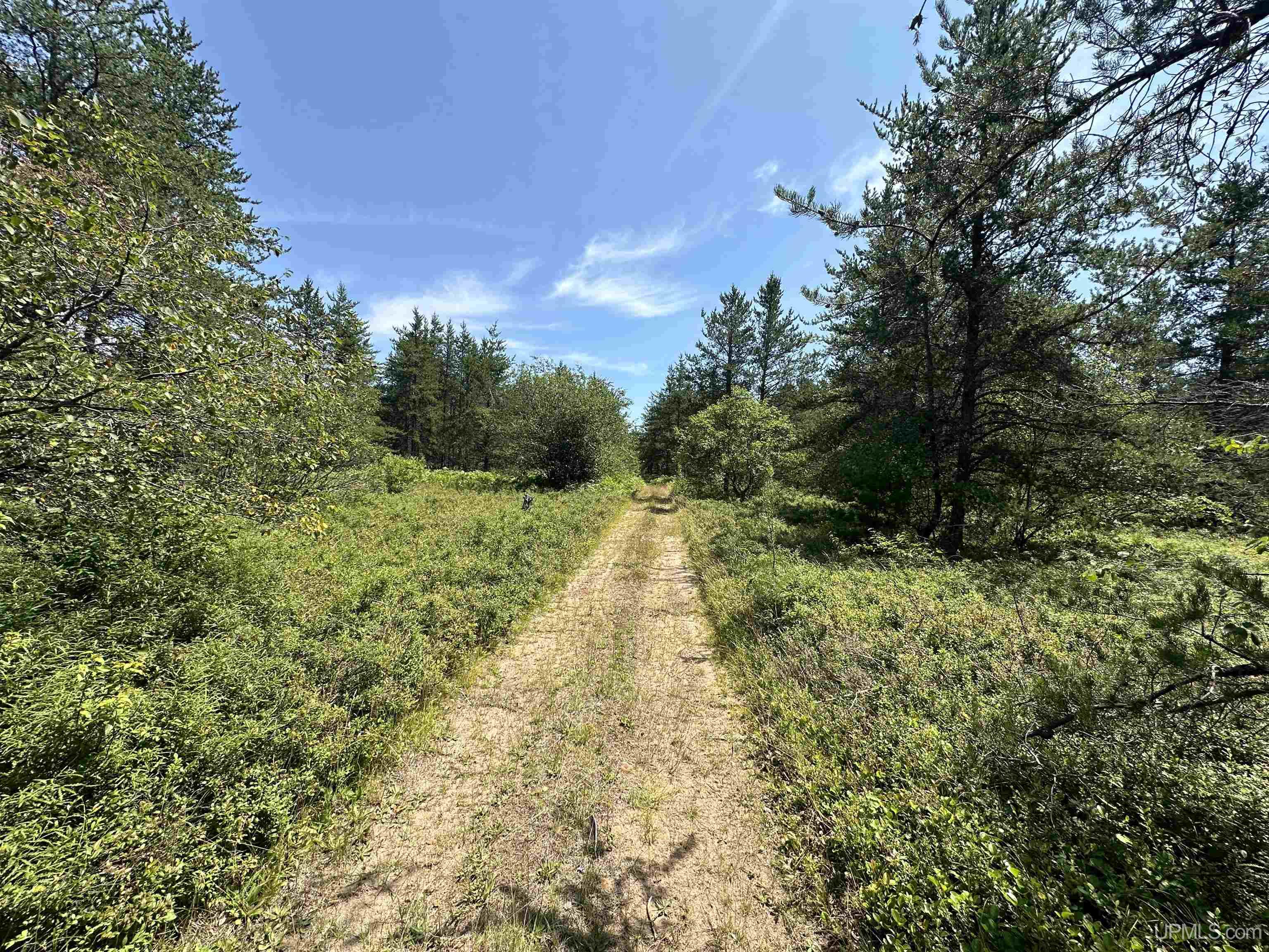 2020-2050 Co Road Little Lake, MI 49833 - Photo 27 of 39