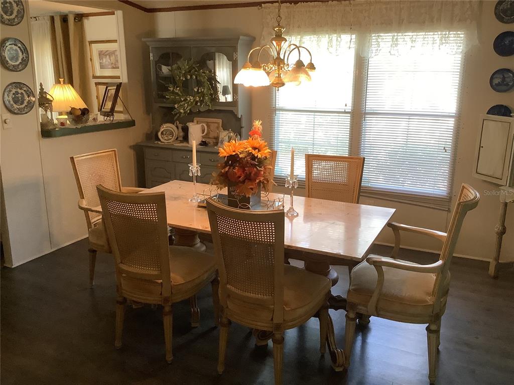 34926 Punch Road Dade City, FL 33523 - Photo 38 of 75 Gallery Image 38
