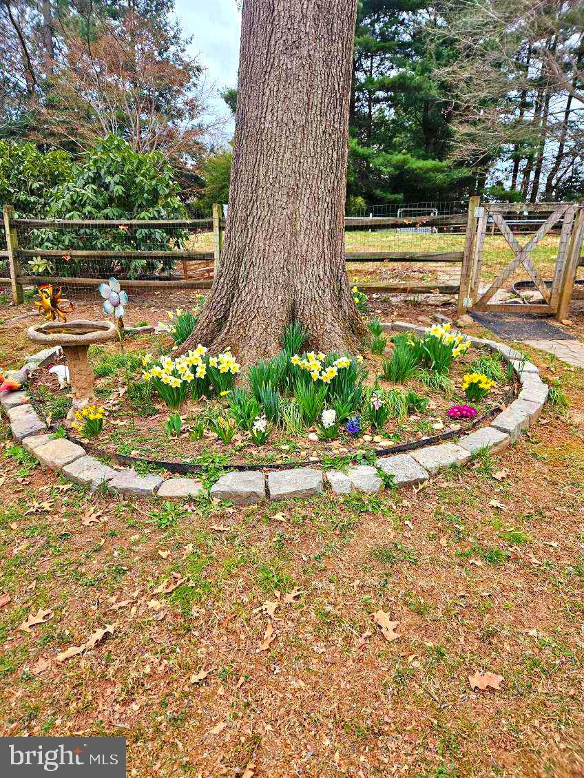 17208 Hunter Green Road Upperco, MD 21155 - Photo 3 of 7 a view of a garden with a bench