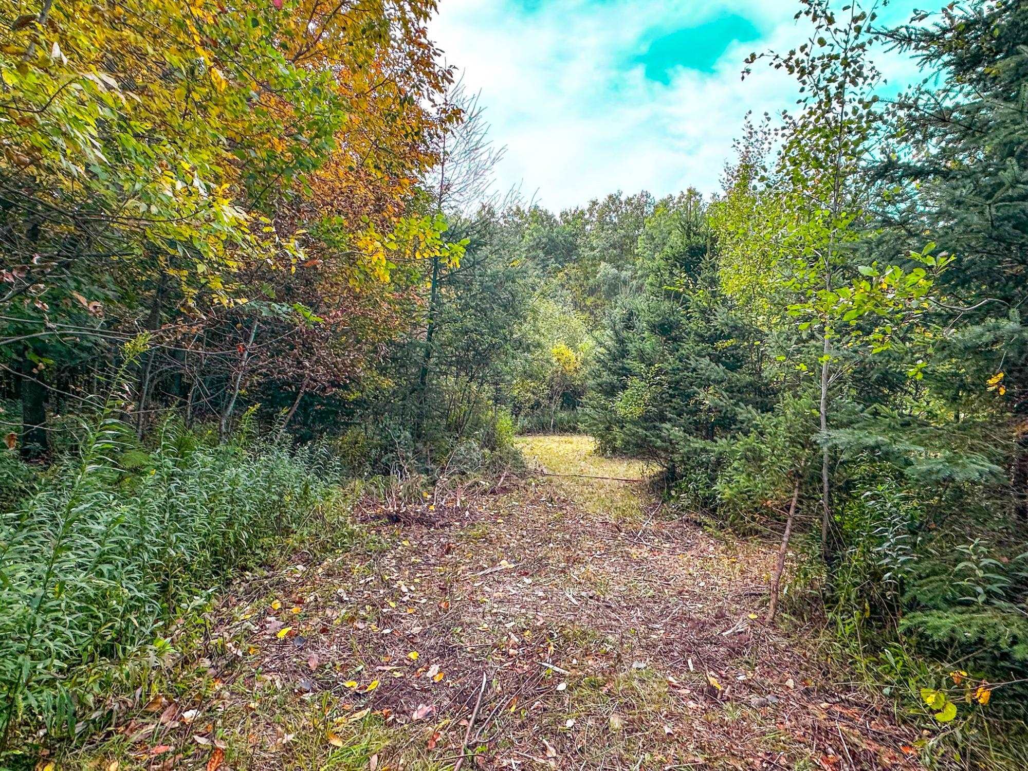72281 Hennes Road Glidden, WI 54527 - Photo 41 of 50