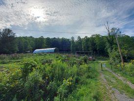 1532 Grassy Spur Road Bandy, VA 24602 - Photo 1 of 46 Gallery Image 1