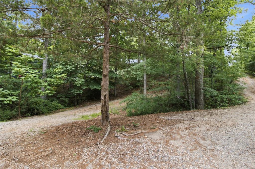3349 Chestatee Road Gainesville, GA 30506 - Photo 30 of 32