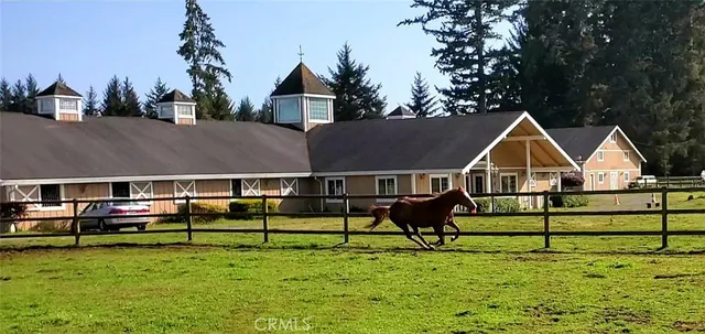 a view of backyard with wooden fence and a bench