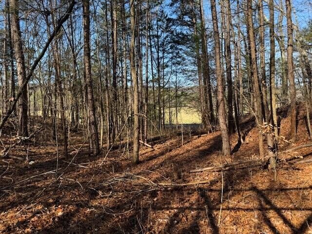 6 County Road 751 Valley Head, AL 35989 - Photo 13 of 18 a view of a backyard of the house
