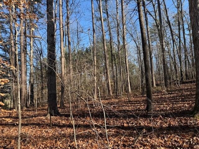 6 County Road 751 Valley Head, AL 35989 - Photo 14 of 18 a view of a backyard with large trees