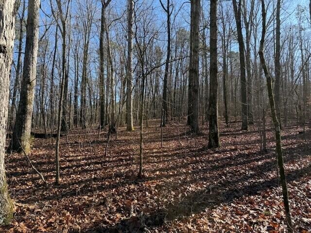 6 County Road 751 Valley Head, AL 35989 - Photo 15 of 18 a view of a backyard with trees