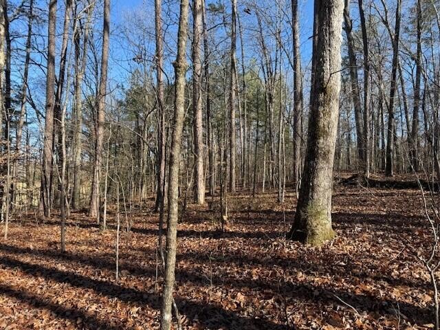 6 County Road 751 Valley Head, AL 35989 - Photo 16 of 18 a view of a backyard with trees