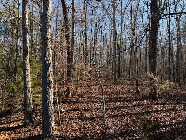 6 County Road 751 Valley Head, AL 35989 - Photo 17 of 18 a view of a pathway of a yard