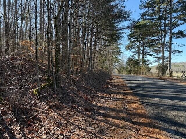 6 County Road 751 Valley Head, AL 35989 - Photo 18 of 18 a view of a yard