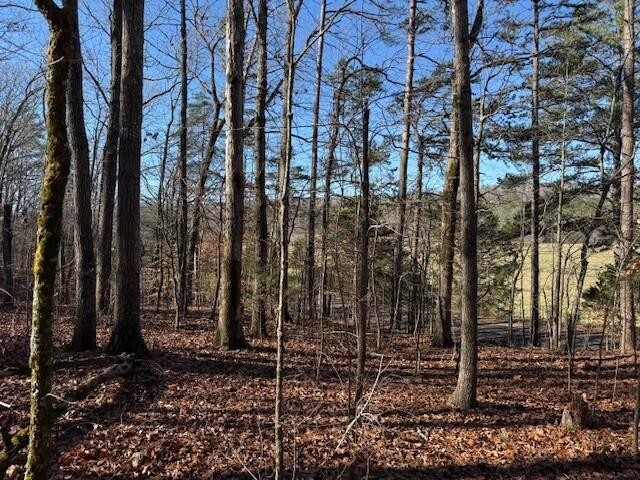 6 County Road 751 Valley Head, AL 35989 - Photo 5 of 18