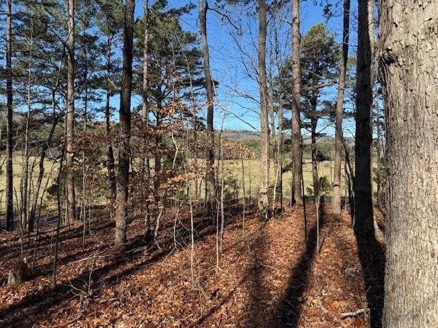 6 County Road 751 Valley Head, AL 35989 - Photo 6 of 18 a view of yard