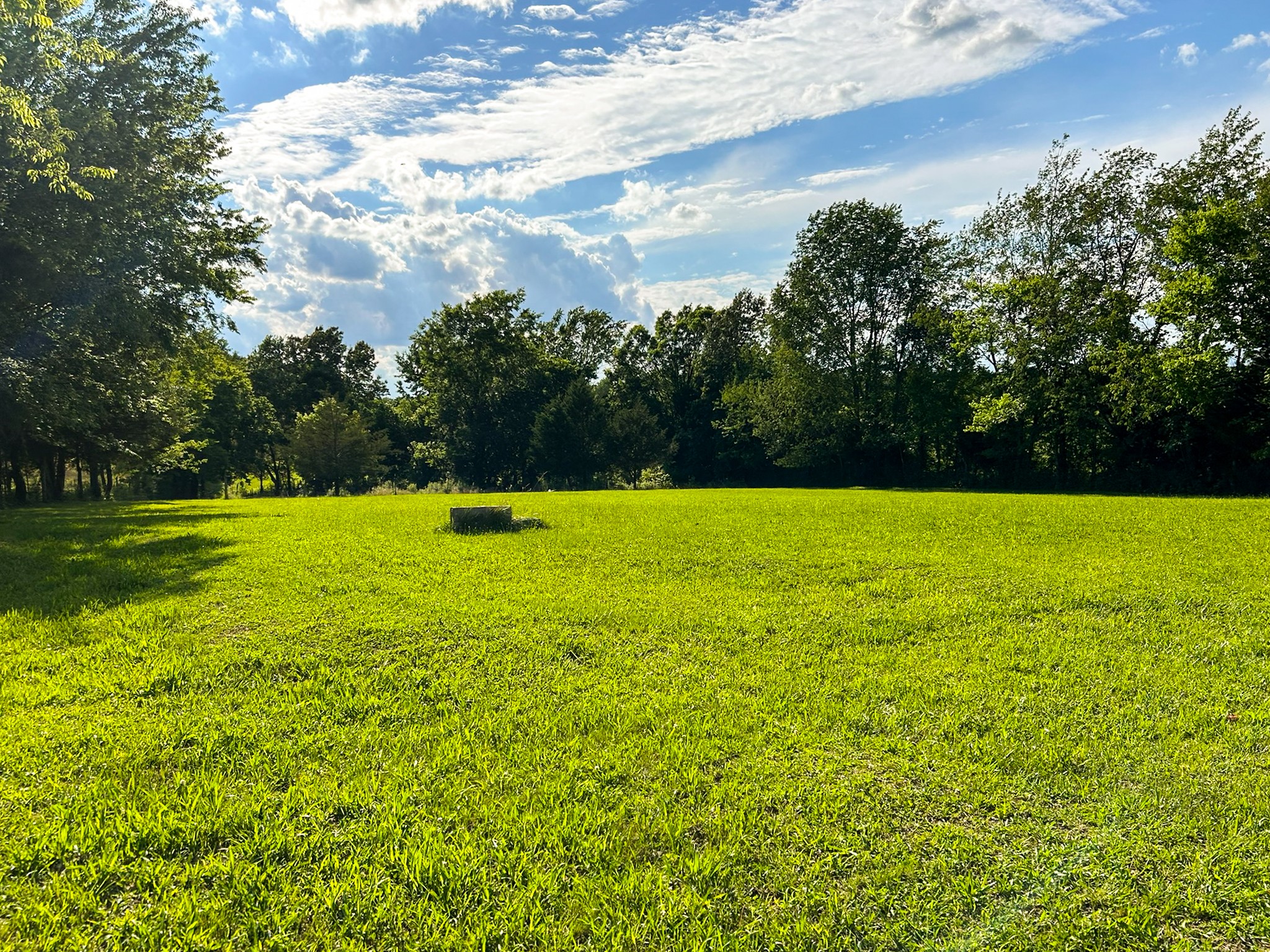 340 Blue Door Road Portland, TN 37148 - Photo 25 of 33