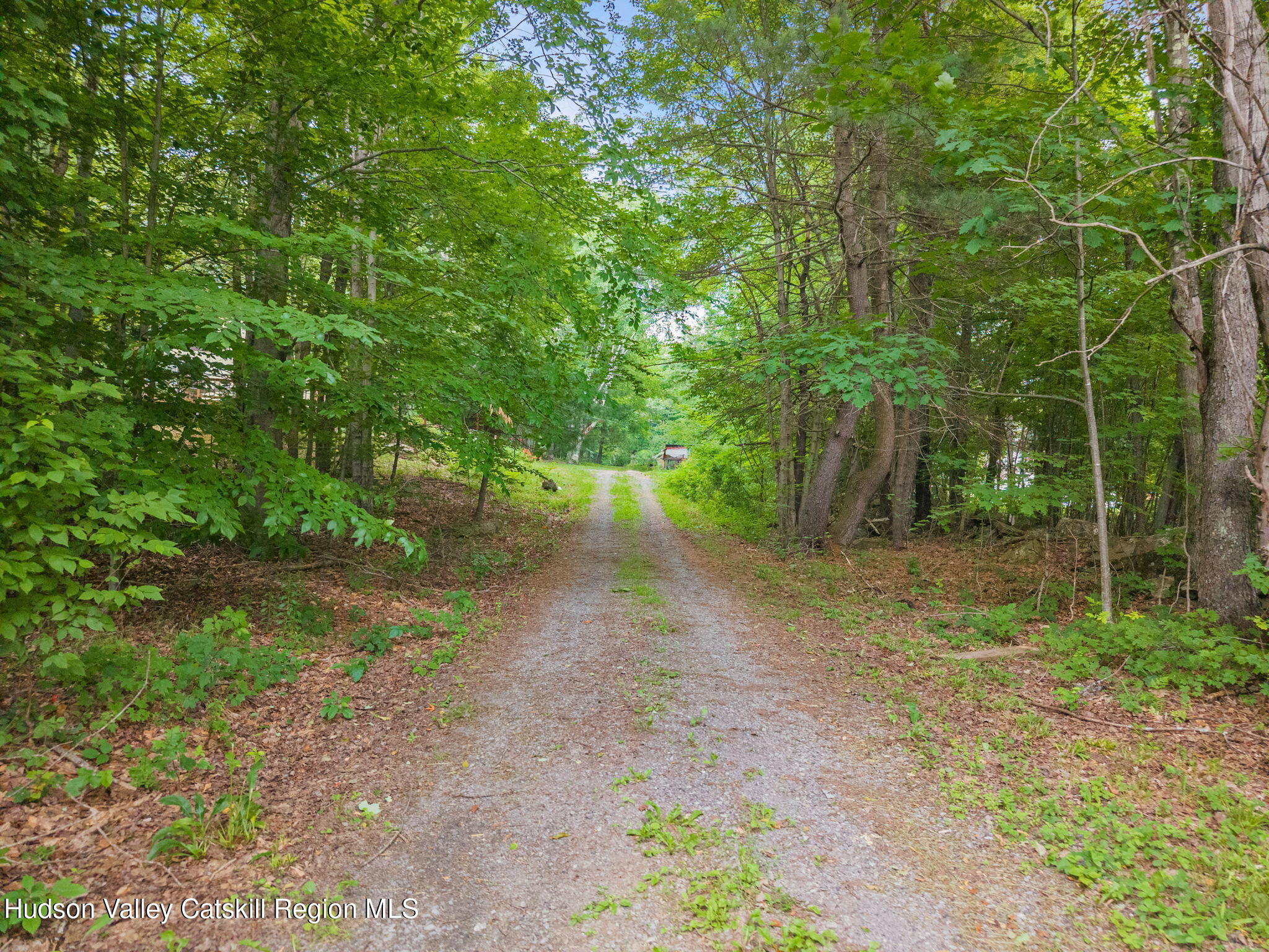 463 Harrington Road Gilboa, NY 12076 - Photo 35 of 49 36-463HarringtonRd_36