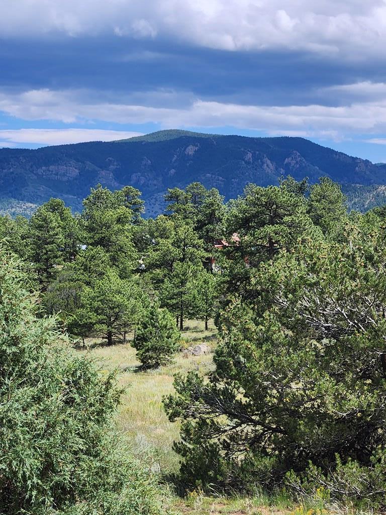 15 Arroyo Road Westcliffe, CO 81252 - Photo 13 of 29 Gallery Image 13