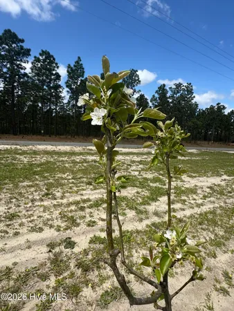 $369,900 | 254 Coles Store Road, Hamlet, NC 28345