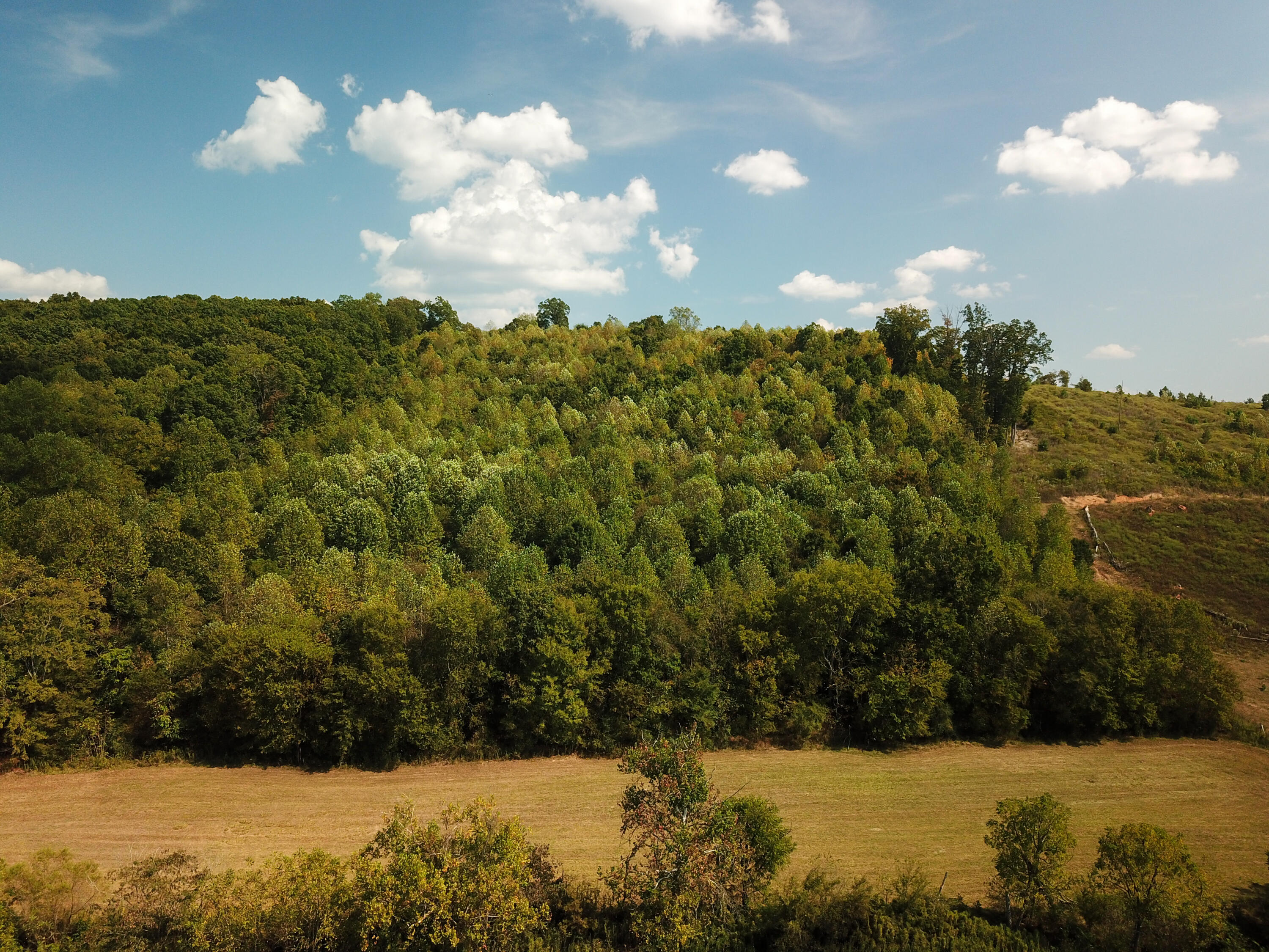 0 Lead Mine Valley Road Southwest Cleveland, TN 37311 - Photo 3 of 21 DJI_0040