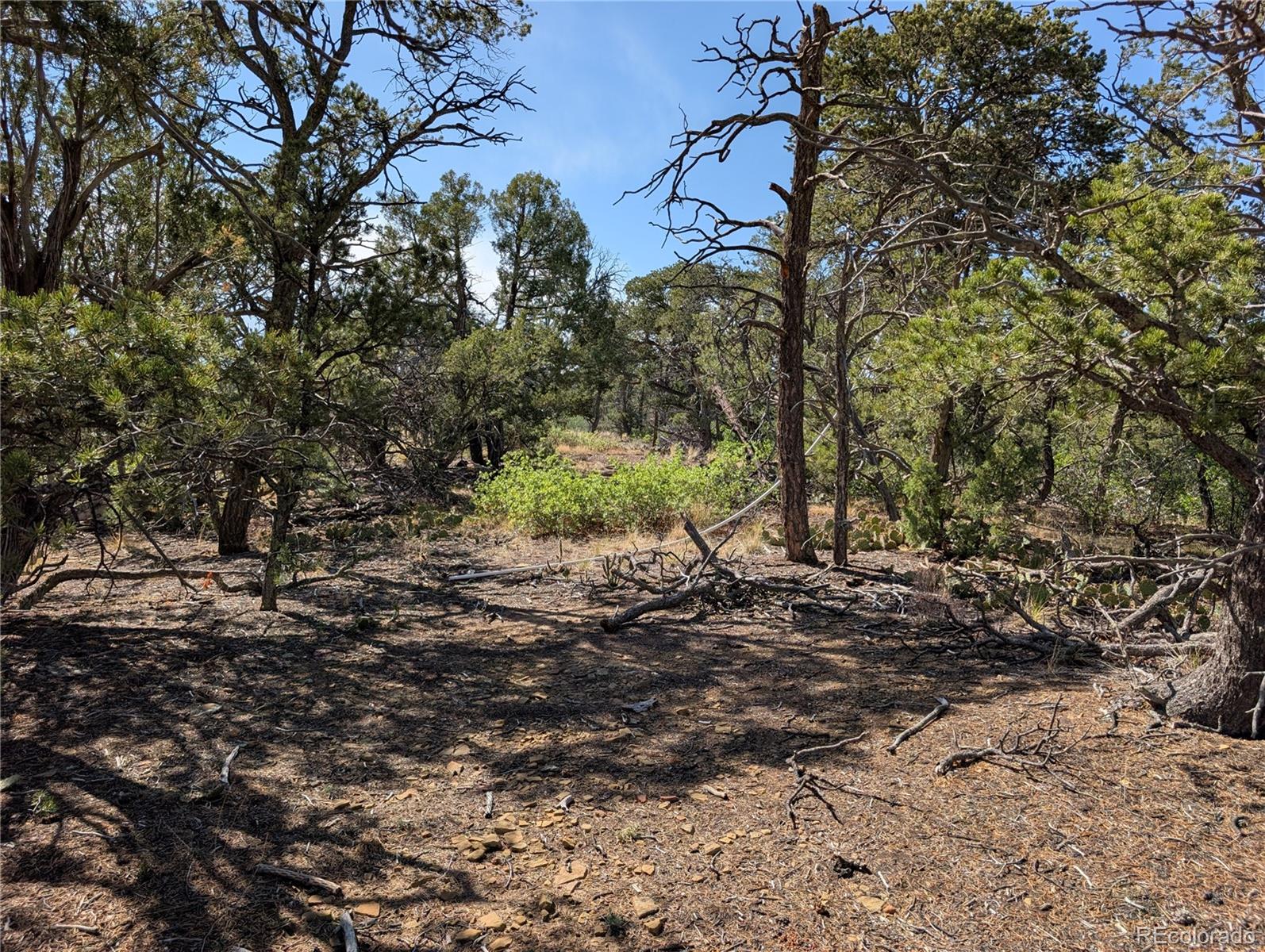 Fishers Peak Ranch Trinidad, CO 81082 - Photo 9 of 34