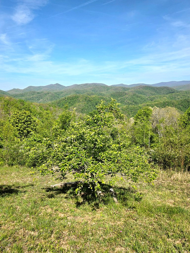 795 Porter Field Gap Road Robbinsville, NC 28771 - Photo 80 of 105