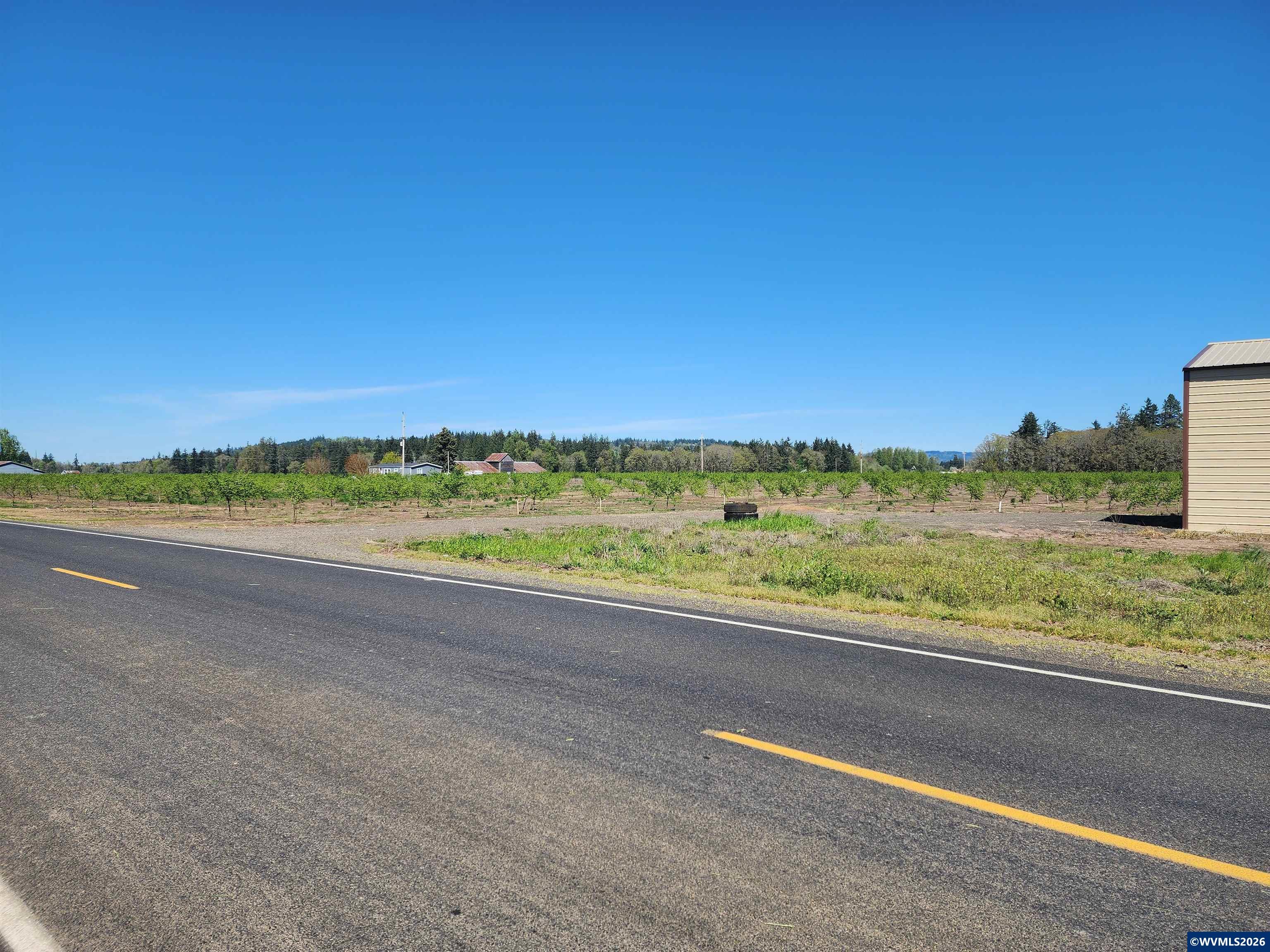 36501 Gilkey Road Scio, OR 97374 - Photo 3 of 9