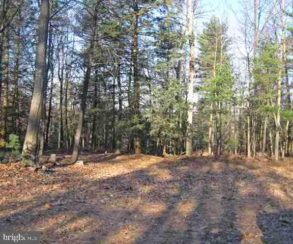 Lot 2 Bottom Road Orrtanna, PA 17353 - Photo 2 of 6 Gallery Image 2