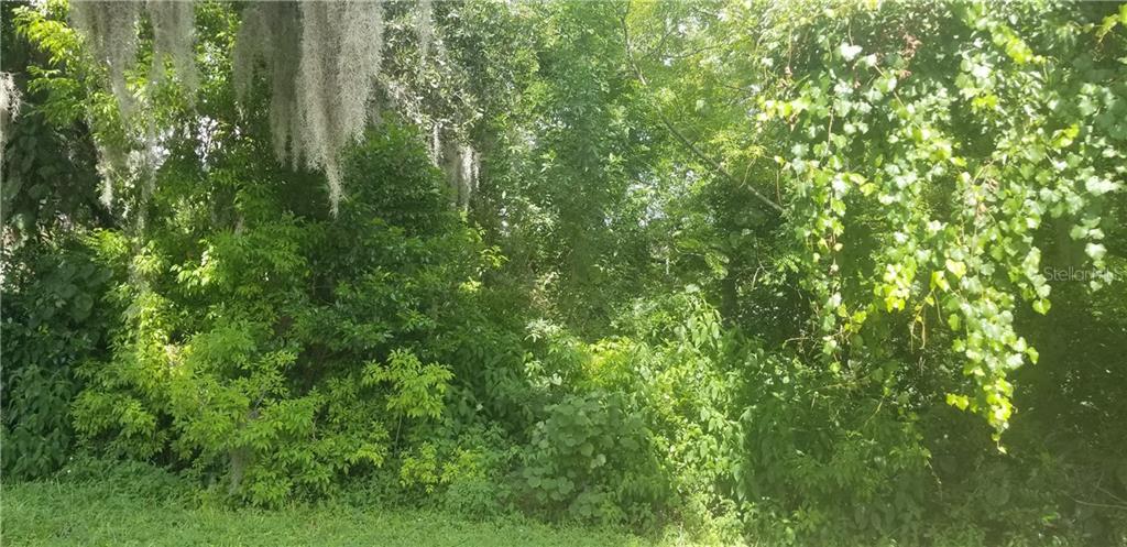 Rowan Road New Port Richey, FL 34653 - Photo 1 of 1 Gallery Image 1