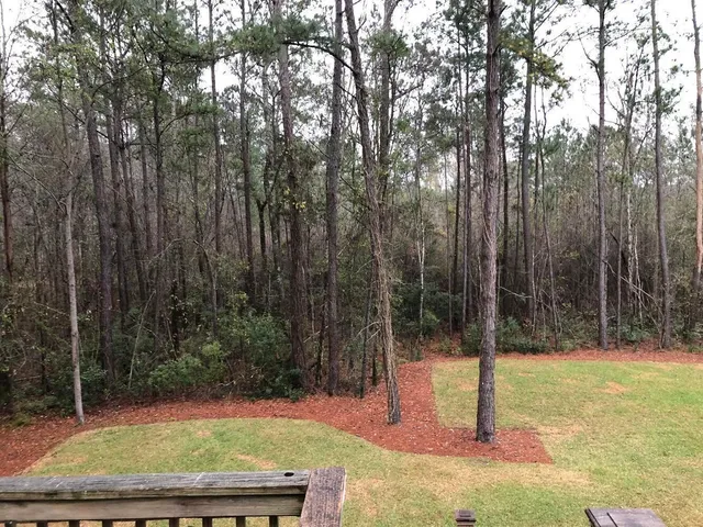 $2,300 | 10369 Highway 17, McClellanville, SC 29458