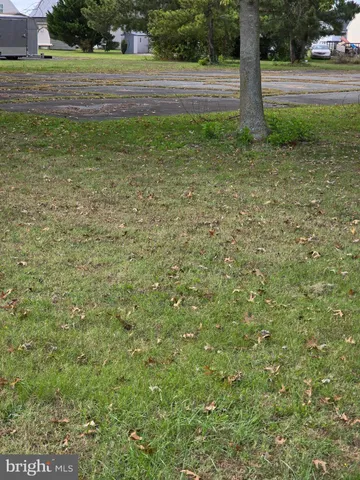 a view of a field with grass and trees
