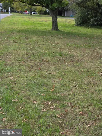 a view of green field with trees