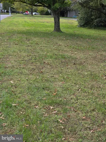a view of green field with trees